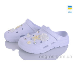 Кроксы Golden Lion